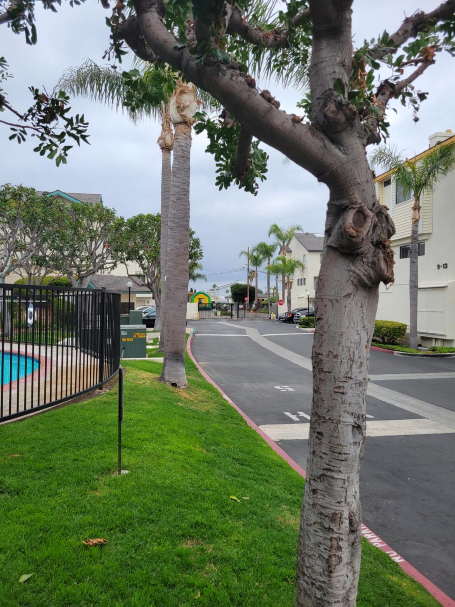 Minsa - Peaceful Home Near Lax Dtla & Free Parking Lawndale Exterior photo